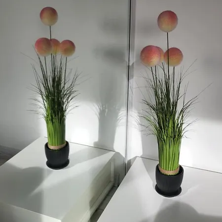 Dreamsnest Appartement *