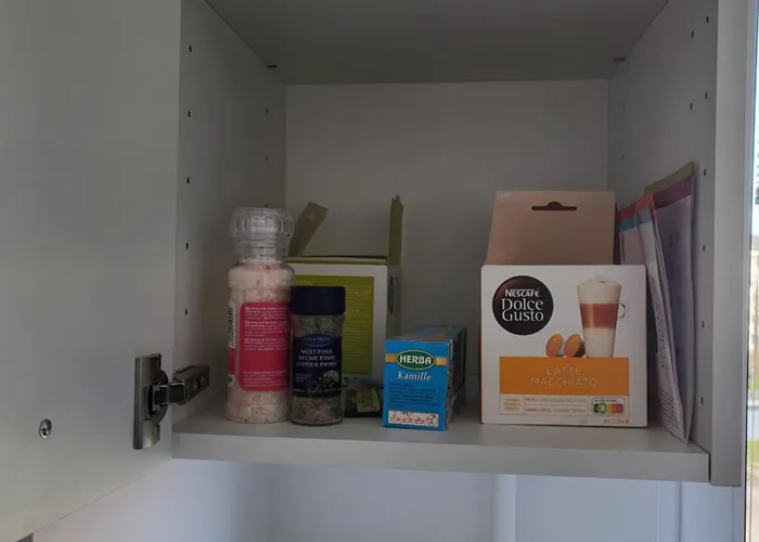 Dreamsnest * Tallinn